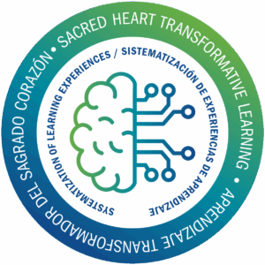 Sistematización de experiencias de aprendizaje
